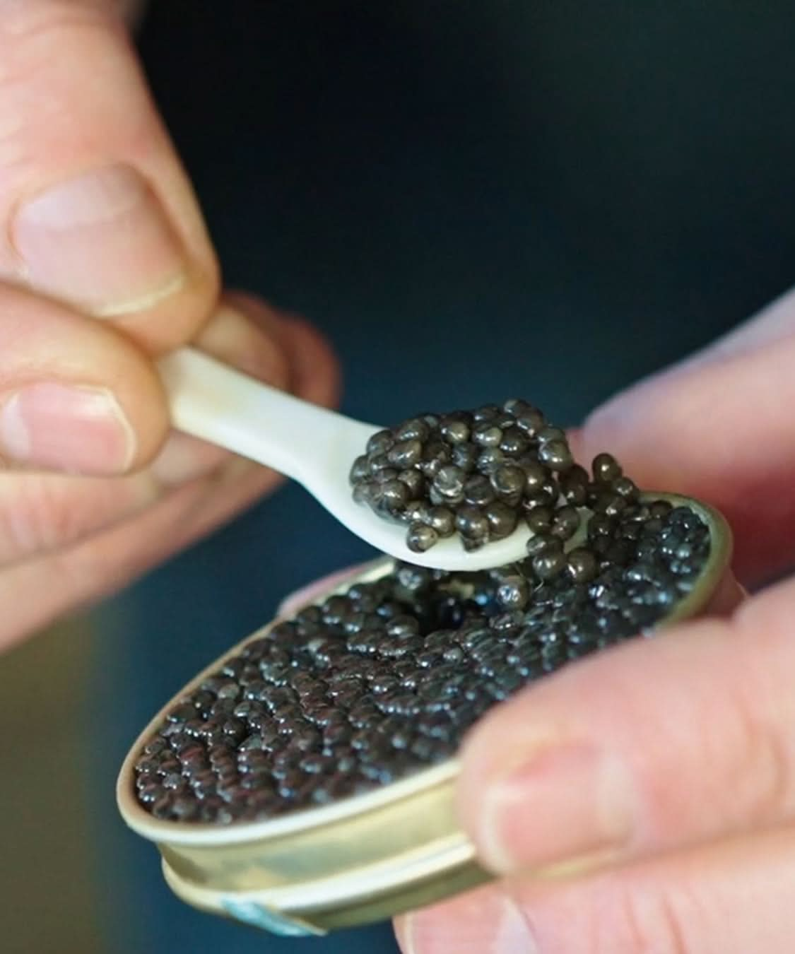 CAVIAR BELUGA D'AQUITAINE