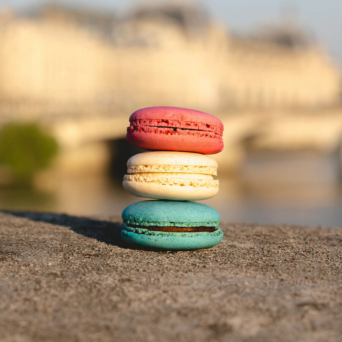 Réglette de 6 macarons - tricolores